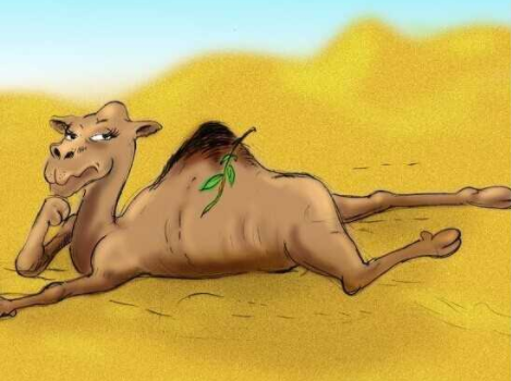 業(yè)務開展舉步維艱 業(yè)務開展舉步維艱